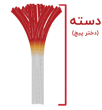 زعفران دسته