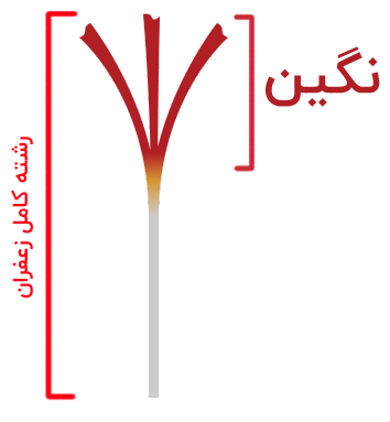 زعفران سوپر نگین